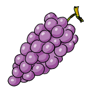 葡萄（ブドウ）