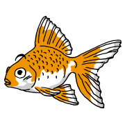 金魚（きんぎょ）